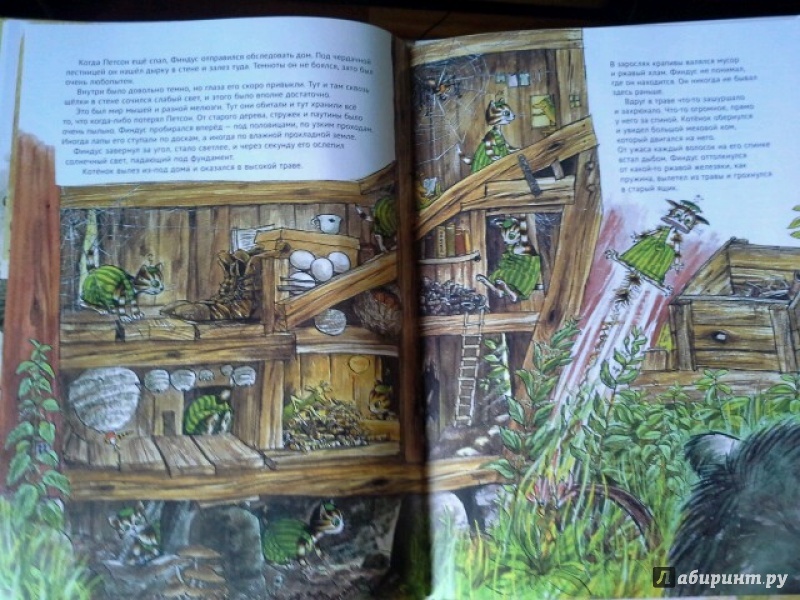 Иллюстрация 61 из 102 для История о том как Финдус потерялся, когда был маленьким - Свен Нурдквист | Лабиринт - книги. Источник: Юлия