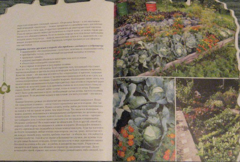 Иллюстрация 14 из 16 для Красивый сад: хитрости и ноу-хау - Ольга Воронова | Лабиринт - книги. Источник: Флоренция