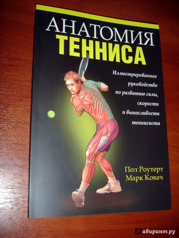 Иллюстрация 10 из 16 для Анатомия тенниса - Роутер, Ковач | Лабиринт - книги. Источник: Kassavetes