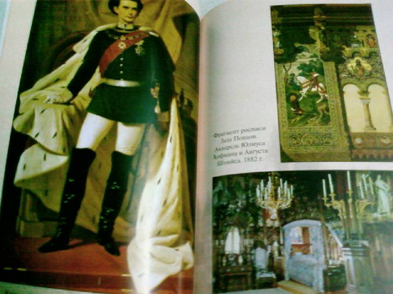 Иллюстрация 25 из 38 для Замки баварского короля - Мария Залесская | Лабиринт - книги. Источник: lettrice