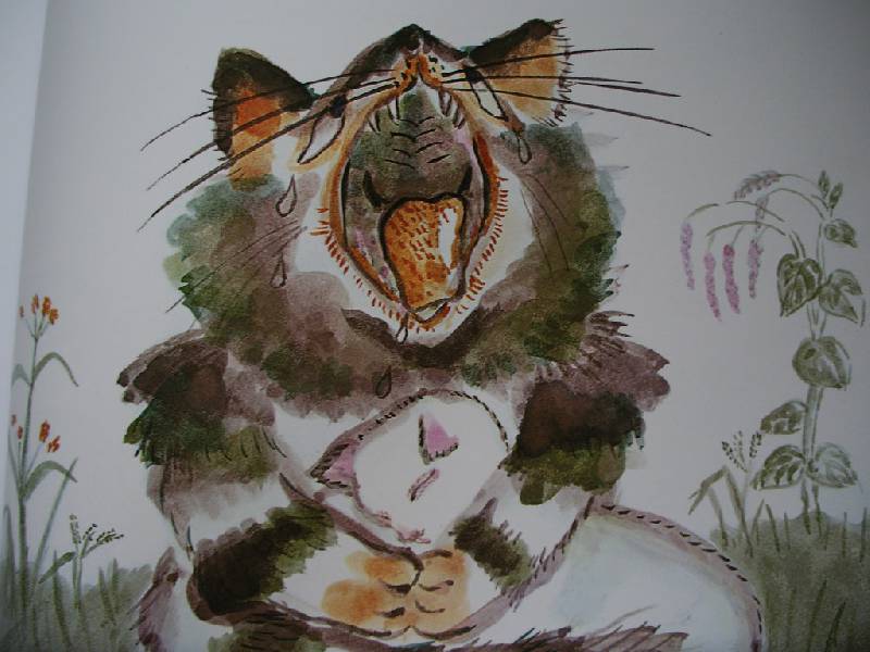Иллюстрация 22 из 30 для Сказка про кота, который жил миллион раз - Йоко Сано | Лабиринт - книги. Источник: Tiger.