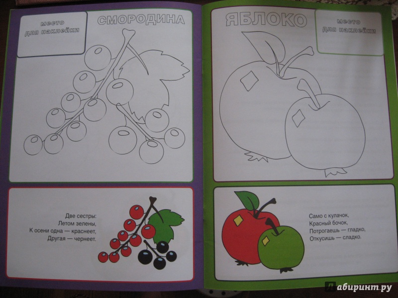 Иллюстрация 5 из 21 для Фрукты и ягоды | Лабиринт - книги. Источник: Марина Епифанцева