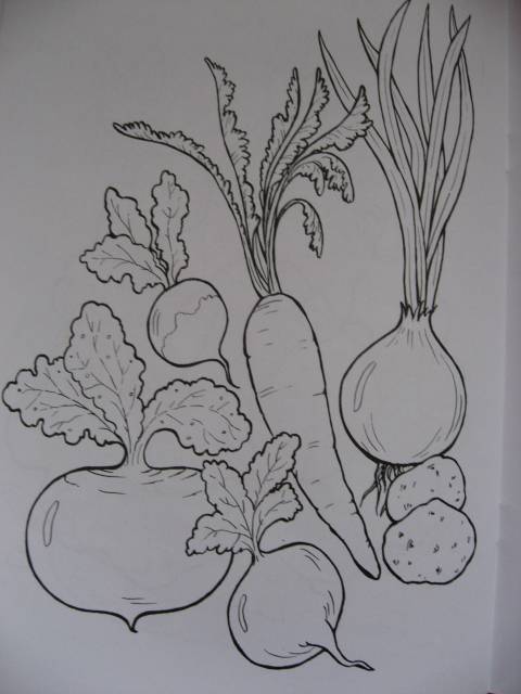 Иллюстрация 16 из 16 для Что растет в саду | Лабиринт - книги. Источник: svemikh