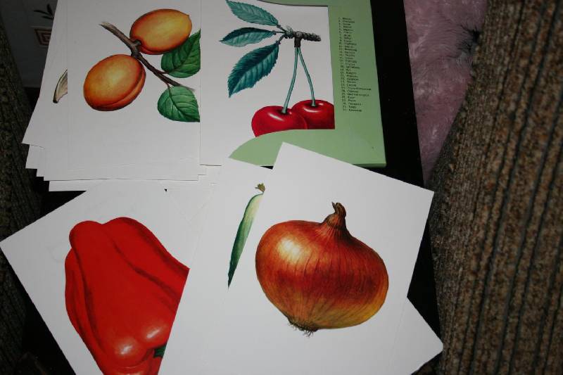 Иллюстрация 10 из 19 для Фрукты, Овощи. Ягоды | Лабиринт - книги. Источник: Счастливая мама