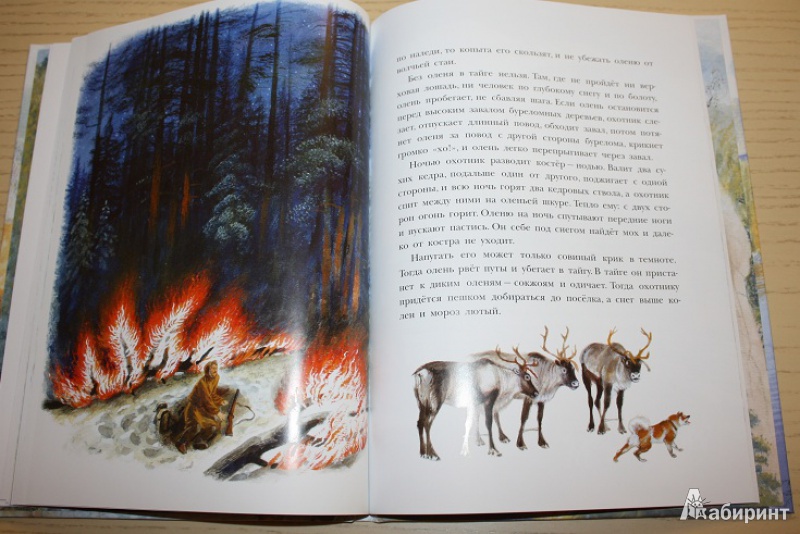 Иллюстрация 43 из 58 для Рассказы о природе, о птицах зверях и разных краях - Геннадий Снегирев | Лабиринт - книги. Источник: КНИЖНОЕ ДЕТСТВО