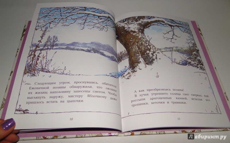 Иллюстрация 12 из 27 для Зимняя история - Джилл Барклем | Лабиринт - книги. Источник: Lucid Dream
