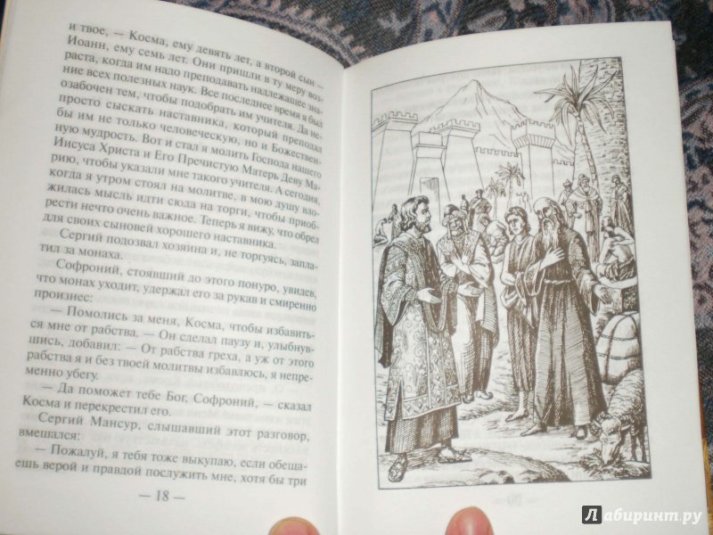 Иллюстрация 8 из 8 для Иоанн Дамаскин - Николай Протоиерей | Лабиринт - книги. Источник: Надежда
