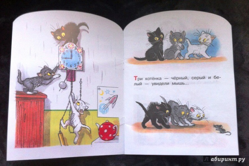 Иллюстрация 15 из 19 для Три котёнка - Владимир Сутеев | Лабиринт - книги. Источник: Zabava