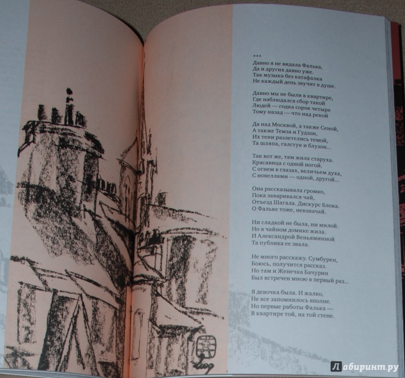 Иллюстрация 20 из 39 для Нормандская тетрадь - Вероника Долина | Лабиринт - книги. Источник: Книжный кот