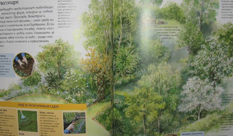 Иллюстрация 13 из 30 для Дивный сад без лишних хлопот | Лабиринт - книги. Источник: Флоренция