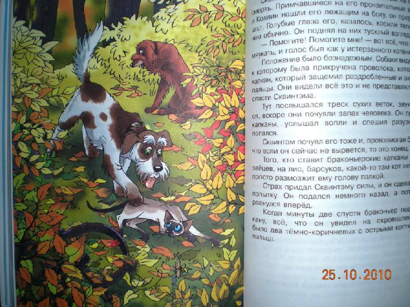 Иллюстрация 34 из 36 для Найти белую лошадь - Дик Кинг-Смит | Лабиринт - книги. Источник: Натти