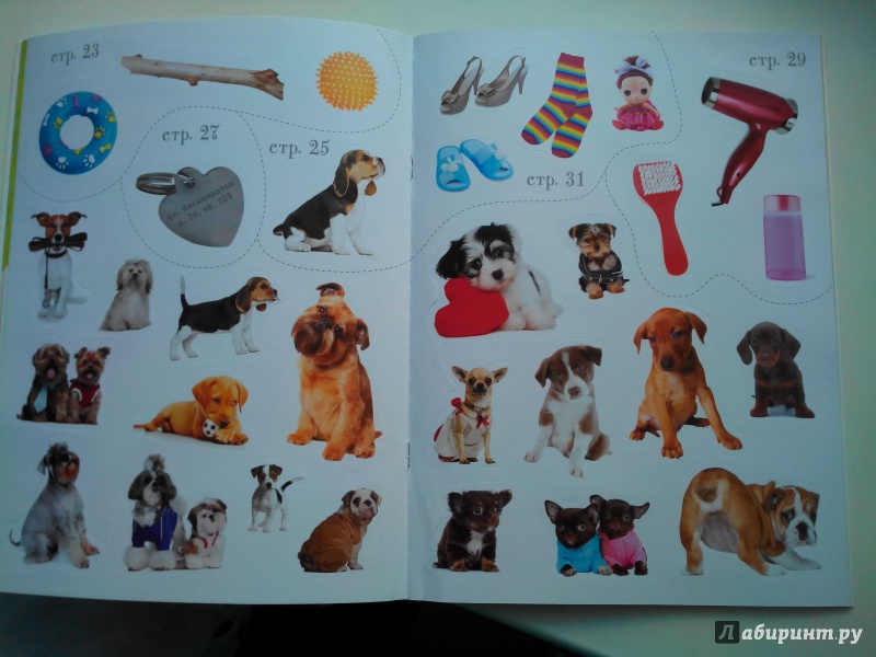 Иллюстрация 17 из 20 для Как воспитать щенка | Лабиринт - книги. Источник: Александра Джейлани