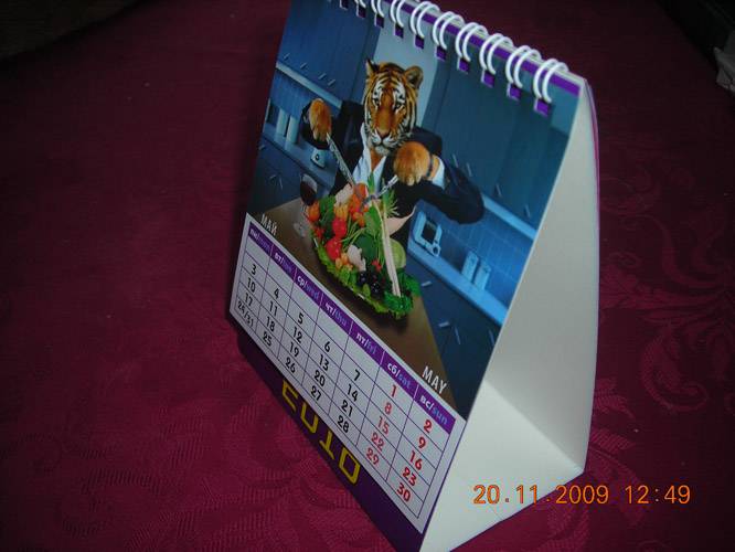 Иллюстрация 5 из 6 для Календарь 2010 "Год успешного тигра" (10902) | Лабиринт - сувениры. Источник: Плахова  Татьяна