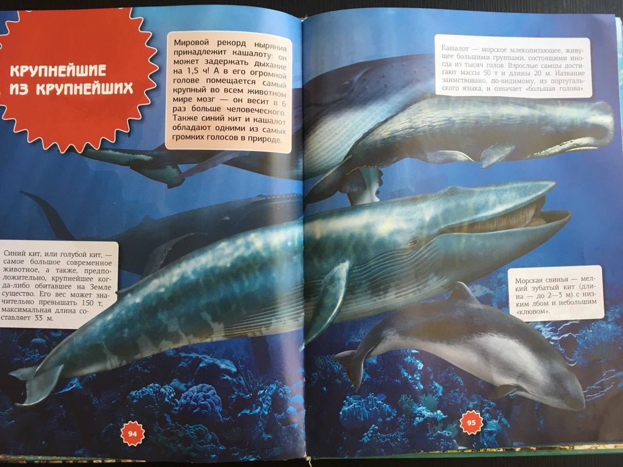 Иллюстрация 17 из 21 для Подводный мир - Ликсо, Третьякова | Лабиринт - книги. Источник: Ольга Тон
