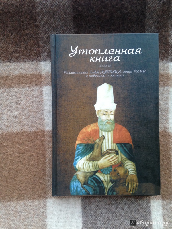 Иллюстрация 3 из 21 для Утопленная книга. Размышления Бахауддина, отца Руми, о небесном и земном - Бахауддин Валад | Лабиринт - книги. Источник: Encinesnowy