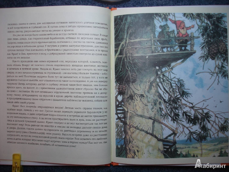 Иллюстрация 19 из 78 для В стране гномов - Эрих Хайнеманн | Лабиринт - книги. Источник: Сорокина  Лариса