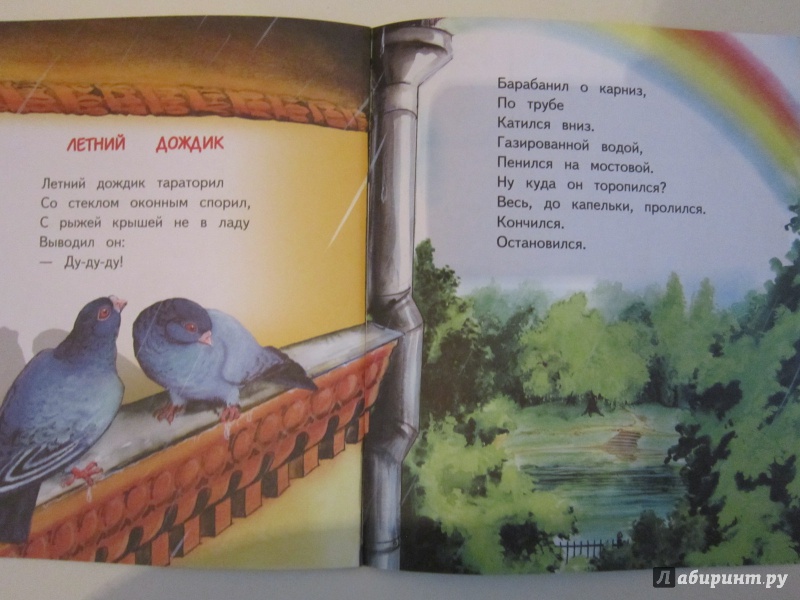 Иллюстрация 12 из 12 для Игрушка - Вениамин Борисов | Лабиринт - книги. Источник: Ермакова Юлия