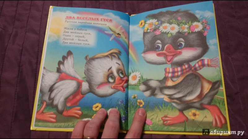 Иллюстрация 9 из 22 для Два веселых гуся | Лабиринт - книги. Источник: anka46