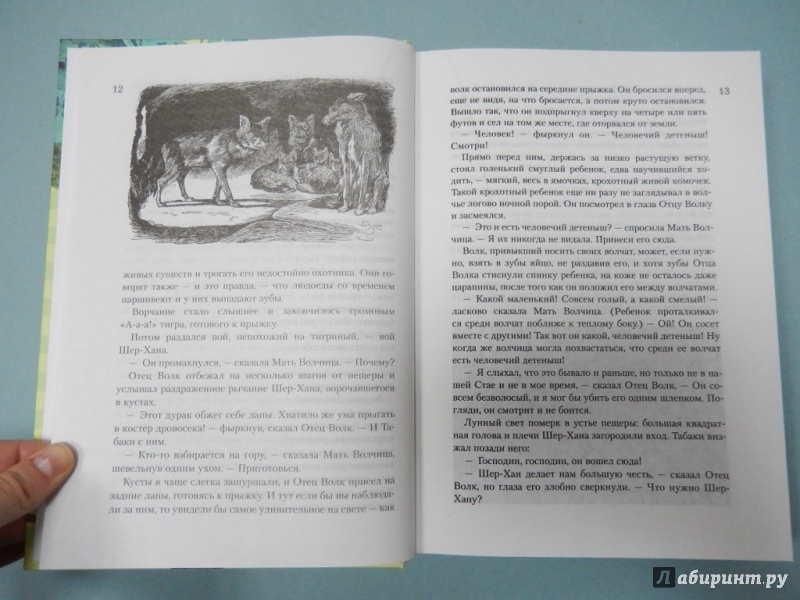 Иллюстрация 6 из 19 для Всё о Маугли, Рикки-Тикки-Тави и Кошке, которая гуляла сама по себе - Редьярд Киплинг | Лабиринт - книги. Источник: dbyyb