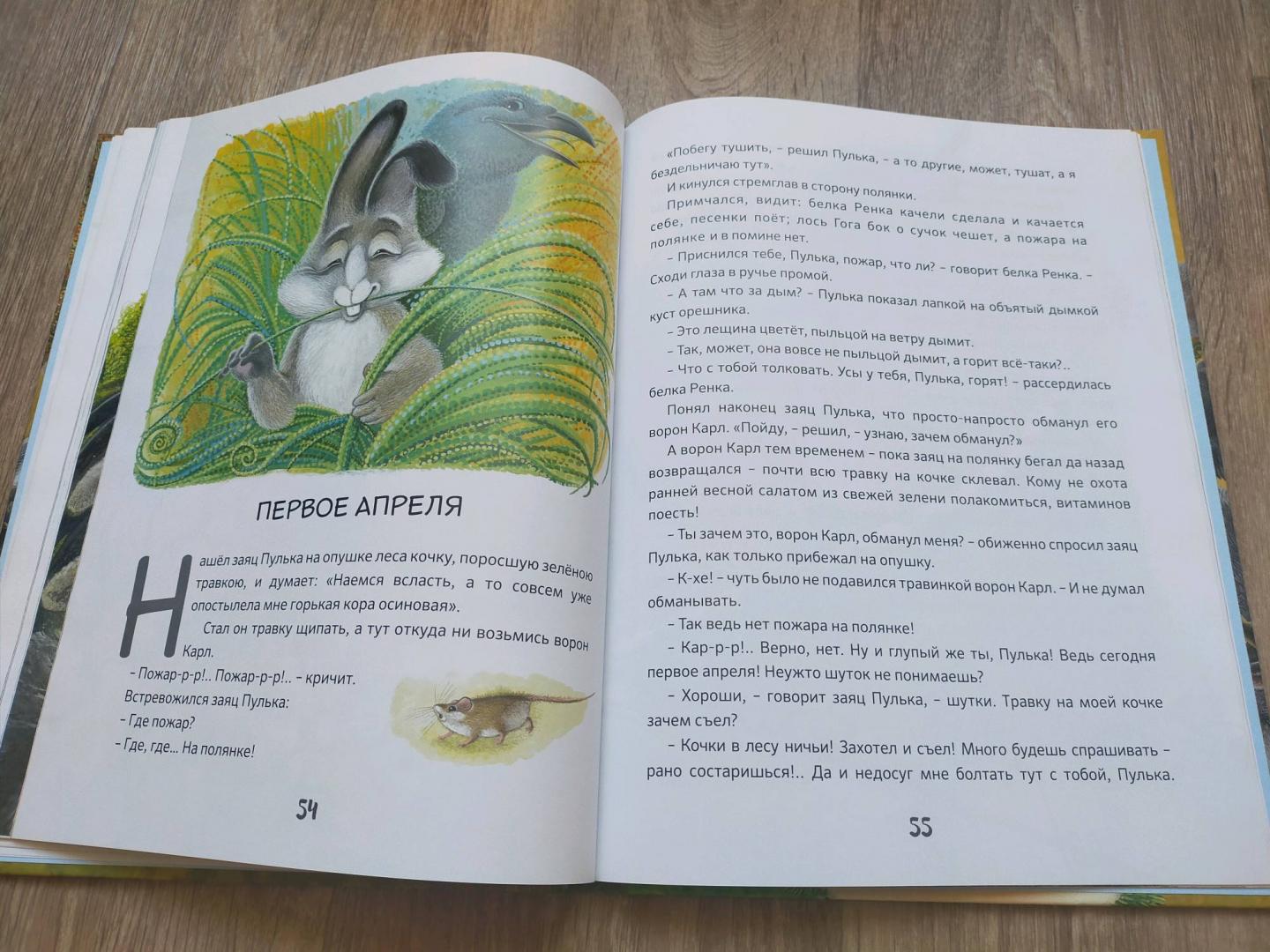 Иллюстрация 127 из 141 для Приключения зайца Пульки и его друзей - Валерий Кастрючин | Лабиринт - книги. Источник: Лабиринт