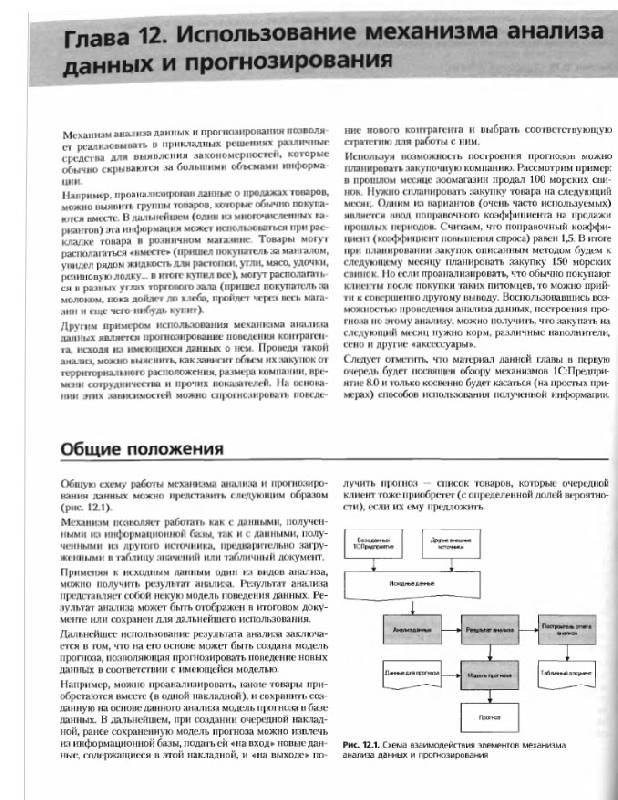 Иллюстрация 1 из 20 для Профессиональная разработка в системе 1С: Предприятие 8 (+CD) - Габец, Гончаров, Козырев | Лабиринт - книги. Источник: Afina
