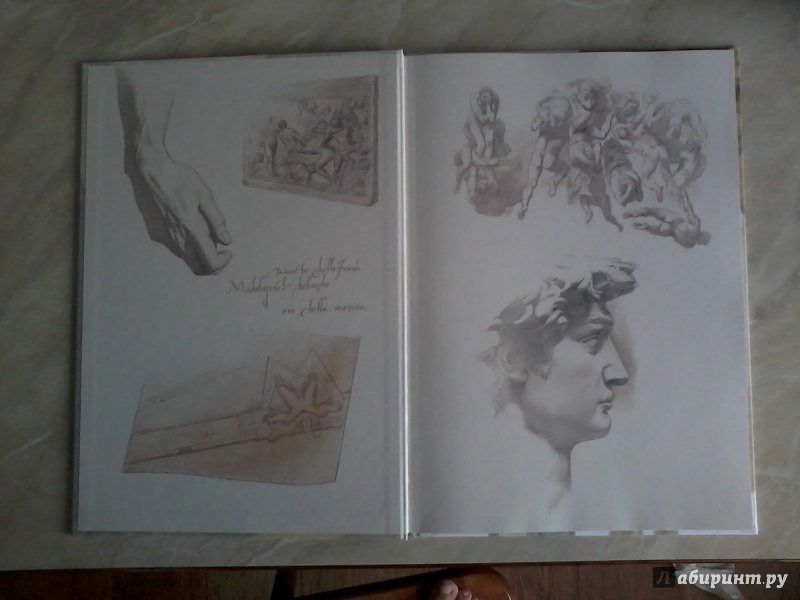 Иллюстрация 25 из 30 для Микеланджело - Джой Чао | Лабиринт - книги. Источник: *  Читатель