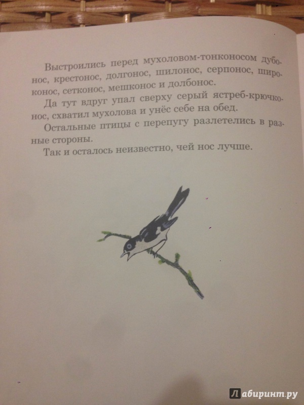 Иллюстрация 14 из 51 для Чей нос лучше - Виталий Бианки | Лабиринт - книги. Источник: Транжира