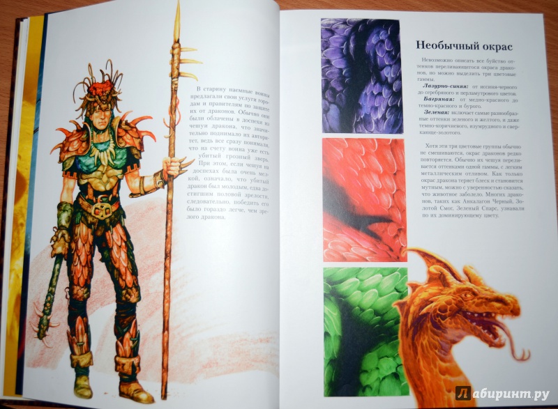 Иллюстрация 11 из 50 для Книга дракона - Кабрал Сируелло | Лабиринт - книги. Источник: abovezero