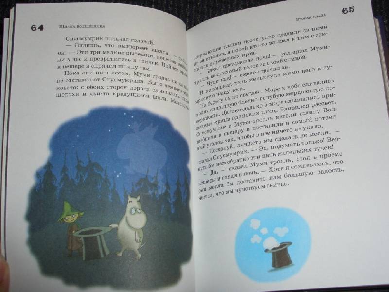 Иллюстрация 14 из 15 для Шляпа волшебника: Повесть-сказка - Туве Янссон | Лабиринт - книги. Источник: sher