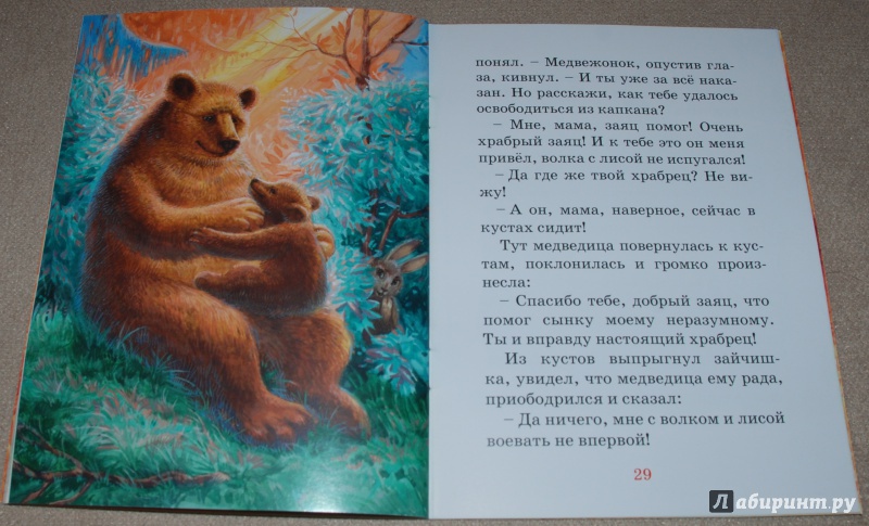 Иллюстрация 12 из 20 для Как медвежонок от мамы убежал - Марина Гончаренко | Лабиринт - книги. Источник: Книжный кот