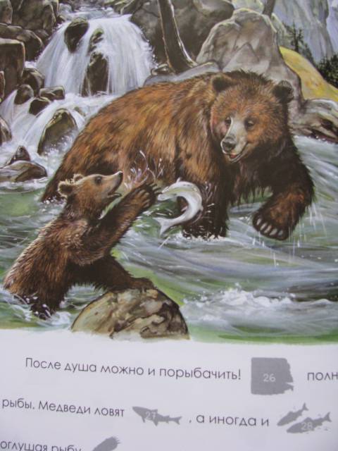 Иллюстрация 16 из 35 для Я учусь читать с наклейками. Медвежонок Топтыга | Лабиринт - книги. Источник: Nemertona