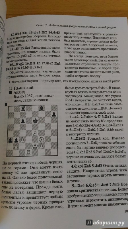 Иллюстрация 18 из 34 для Шахматы. Мастерство игры в эндшпиле - Даниил Народицкий | Лабиринт - книги. Источник: Wiseman