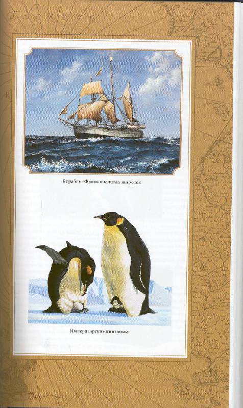 Иллюстрация 44 из 45 для Северный полюс. Южный полюс - Пири, Амундсен | Лабиринт - книги. Источник: Пчёлка Майя