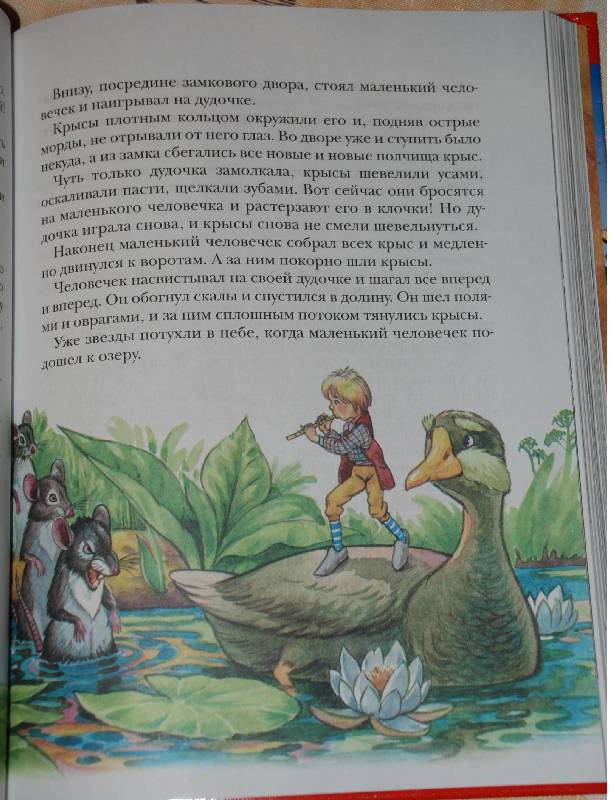 Иллюстрация 43 из 61 для Чудесное путешествие Нильса с дикими гусями - Сельма Лагерлеф | Лабиринт - книги. Источник: МаRUSя