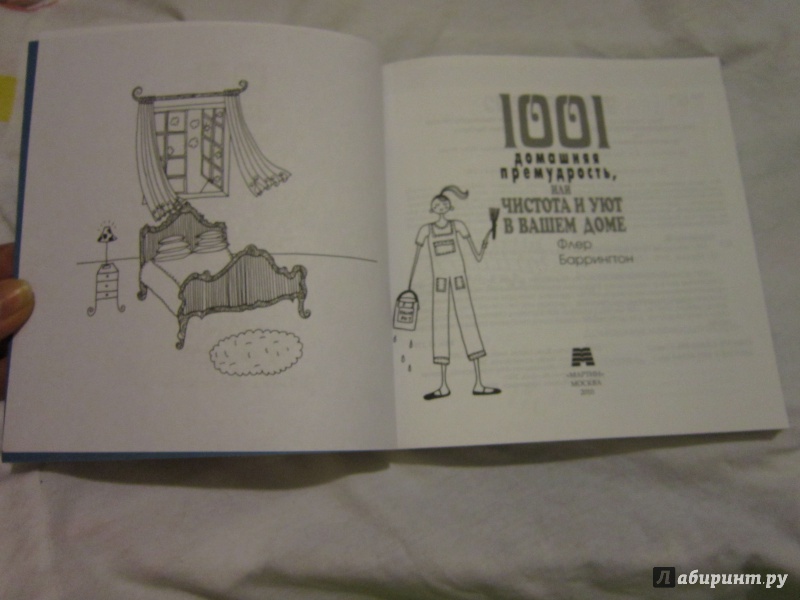 Иллюстрация 8 из 24 для 1001 домашняя премудрость или чистота и уют - Флер Баррингтон | Лабиринт - книги. Источник: Кузнецова Мария