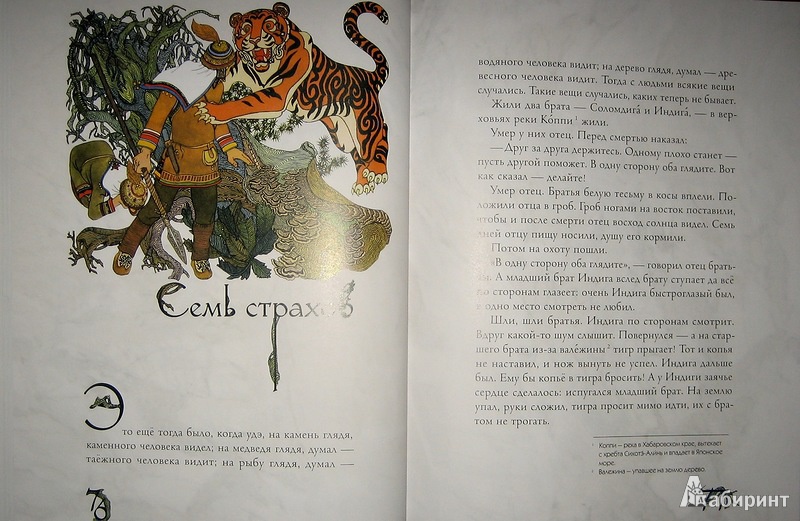 Иллюстрация 48 из 97 для Амурские сказки - Дмитрий Нагишкин | Лабиринт - книги. Источник: Трухина Ирина