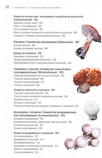 Иллюстрация 22 из 24 для Самые вкусные грибы - Матанцев, Матанцева | Лабиринт - книги. Источник: Золотая рыбка