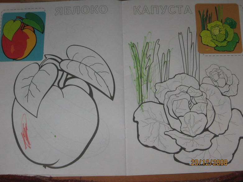 Иллюстрация 4 из 4 для Растения | Лабиринт - книги. Источник: Jasmin56