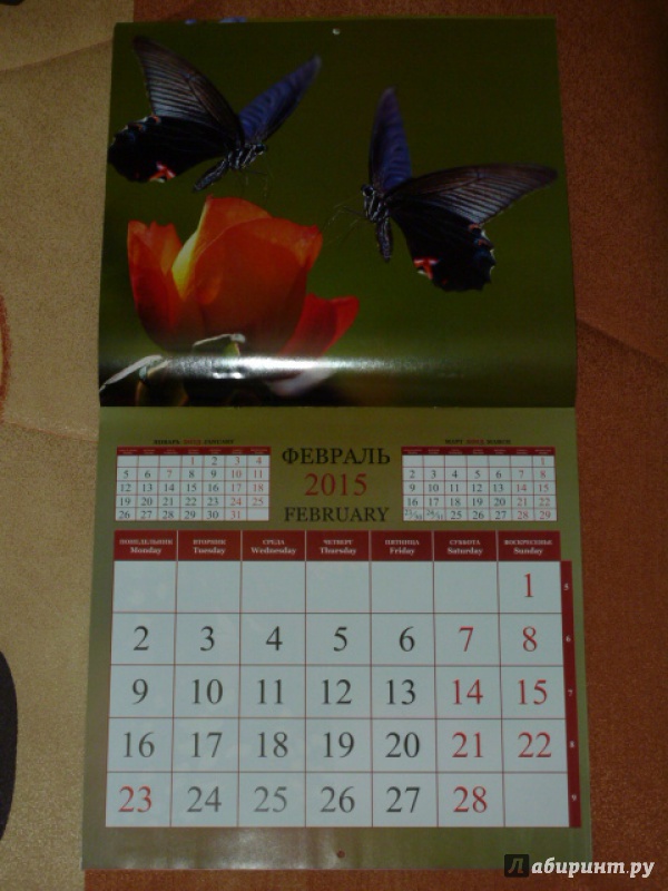 Иллюстрация 4 из 15 для Календарь 2015. Бабочки (12 листов) | Лабиринт - сувениры. Источник: elenak