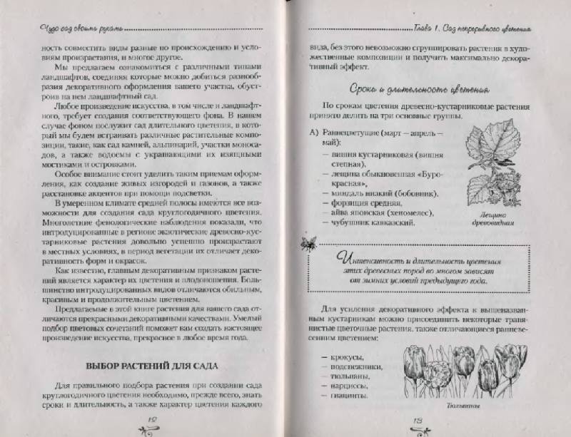 Иллюстрация 5 из 10 для Чудо-сад своими руками - Карлен Кочарян | Лабиринт - книги. Источник: Анна Викторовна