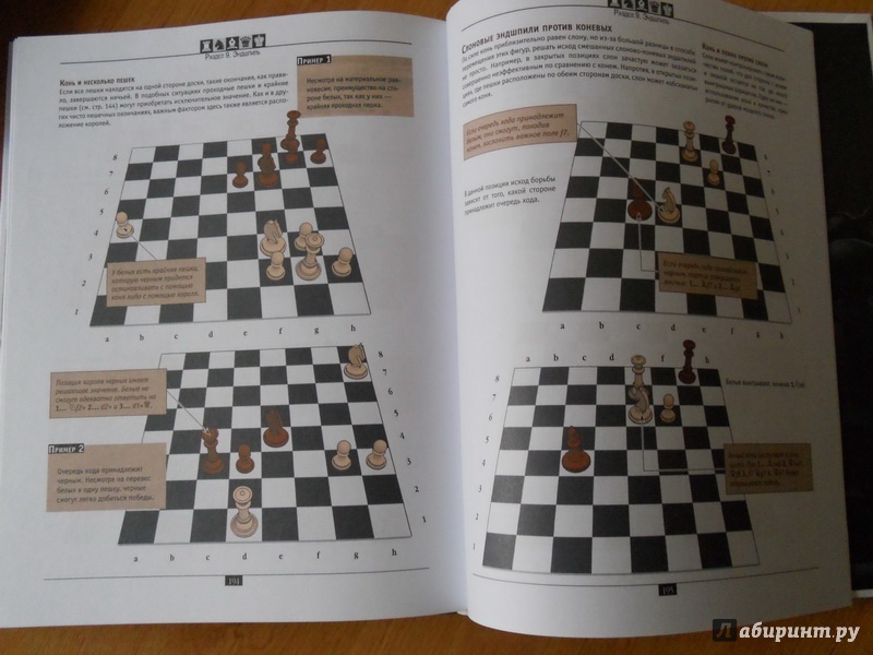 Иллюстрация 12 из 12 для Шахматы. Самый полный самоучитель для начинающих | Лабиринт - книги. Источник: zaa_1978