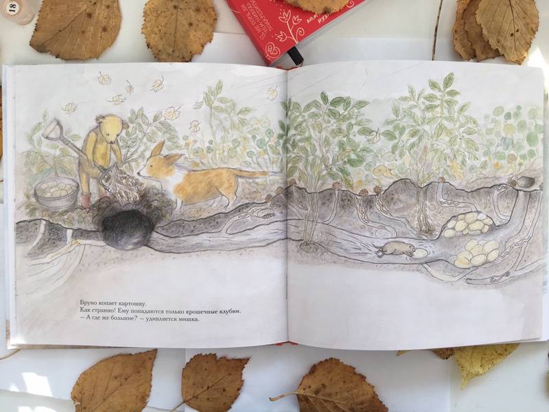 Иллюстрация 35 из 53 для Осень мишки Бруно - Гунилла Ингвес | Лабиринт - книги. Источник: Королькова  Юлия