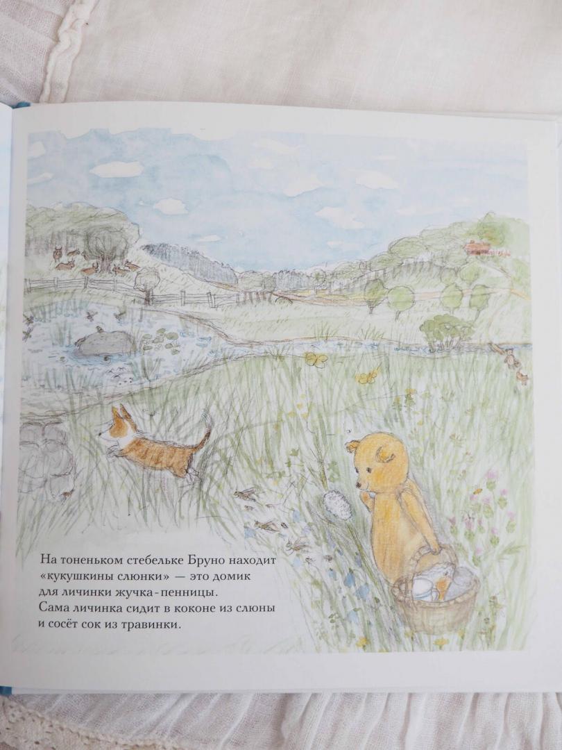 Иллюстрация 57 из 58 для Лето мишки Бруно - Гунилла Ингвес | Лабиринт - книги. Источник: Шурыгина  Татьяна