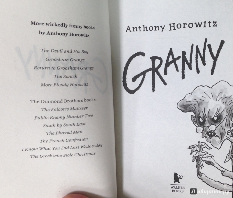 Иллюстрация 4 из 9 для Granny - Anthony Horowitz | Лабиринт - книги. Источник: Tatiana Sheehan