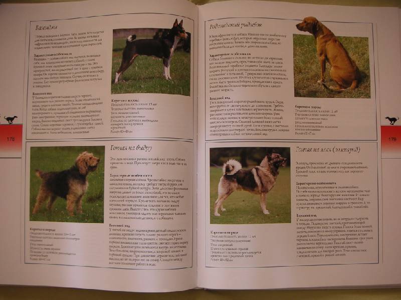 Иллюстрация 17 из 21 для Собака. Полное руководство - Сара Вайтхэд | Лабиринт - книги. Источник: kisska