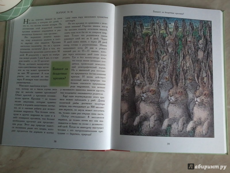 Иллюстрация 27 из 43 для Сколько иголок у ежа?.. и другие вопросы директору зоопарка - Визнер, Мюллер | Лабиринт - книги. Источник: *  Читатель