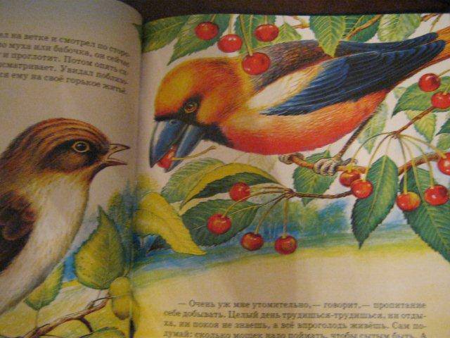 Иллюстрация 13 из 35 для Сказки о животных - Виталий Бианки | Лабиринт - книги. Источник: М-и-л-е-н-а