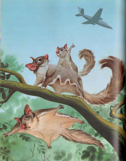 Иллюстрация 31 из 36 для Веселые истории о животных - Пьеранджела Фьорани | Лабиринт - книги. Источник: Melamory (night)