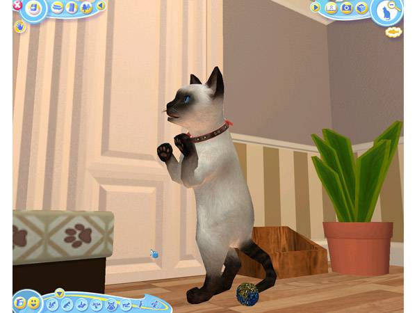 Иллюстрация 24 из 36 для Catz-2 2007 (CDpc) | Лабиринт - . Источник: С  М В