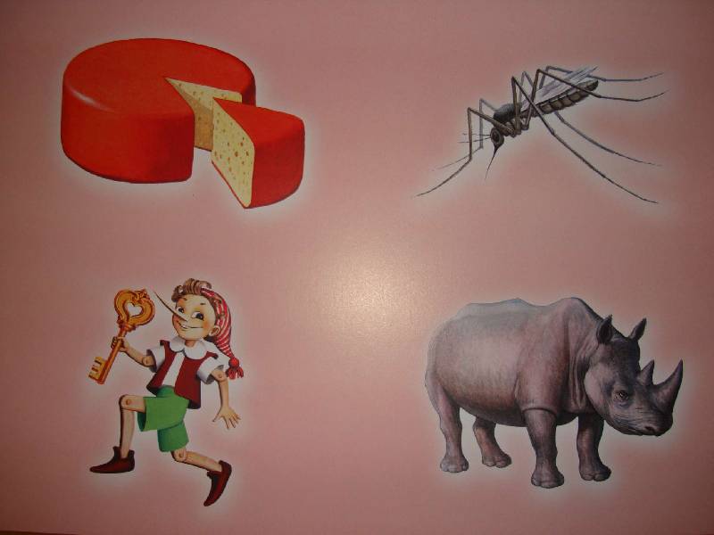 Иллюстрация 11 из 19 для Логопедические карточки №1 для обследования звукопроизношения детей и слогового состава слов - Н. Белавина | Лабиринт - книги. Источник: Нинуля